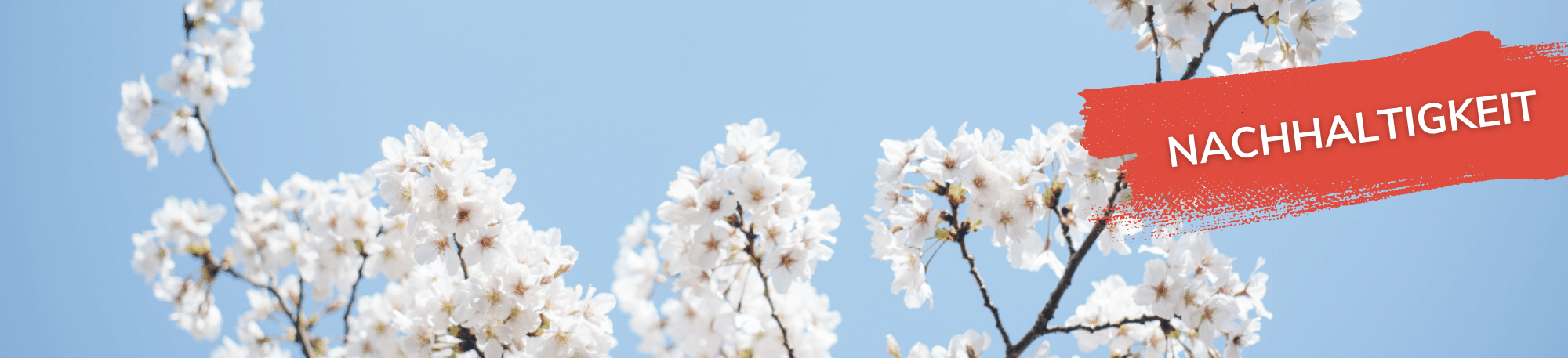 CSR Reporting im Mittelstand