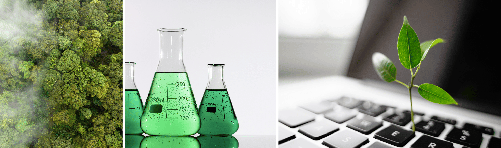 C4B Green LAB: Praxisorientierte Umsetzung des Reportings gemäß der EU Taxonomie Verordnung