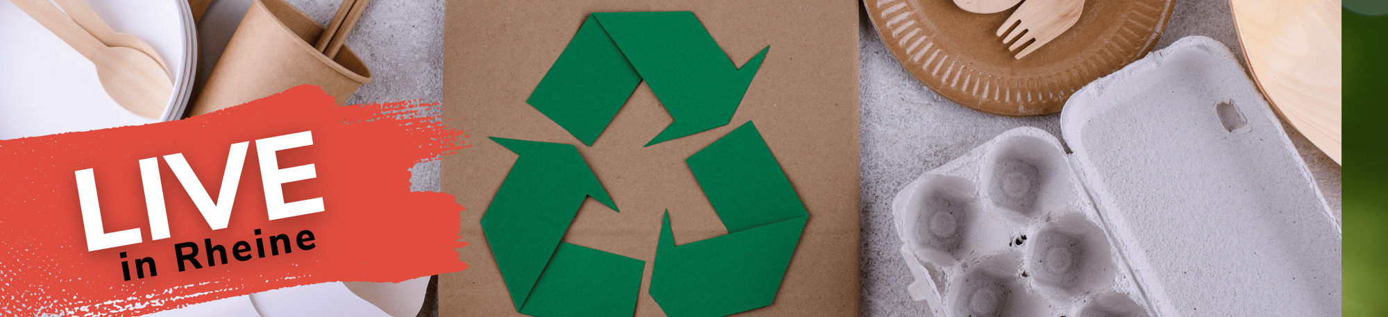 Nachhaltigkeit in der Organisation verankern – Strukturen, Verantwortung und gelebte Praxis