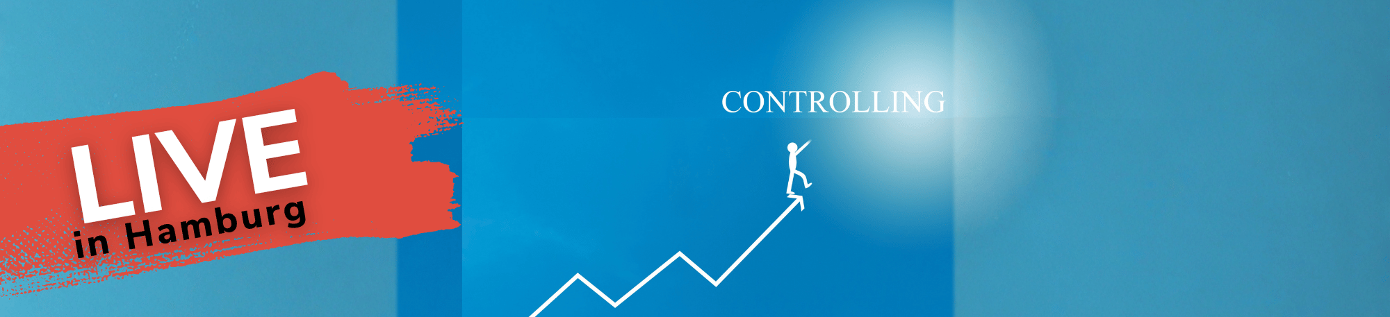 Konzerncontrolling